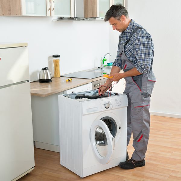 what are common issues that can arise with a washer in Wacousta Michigan